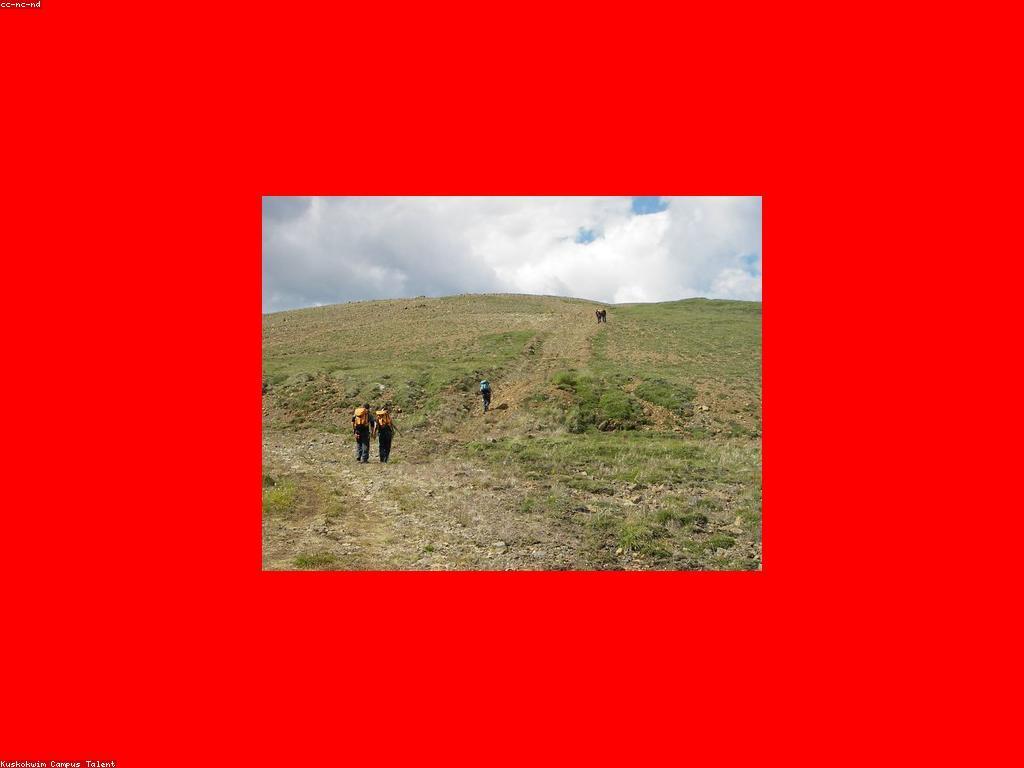 ការងារពេលរដូវក្តៅ: ឱកាស និងអត្ថប្រយោជន៍